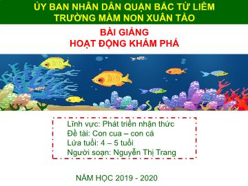 Bài giảng mầm non lớp Chồi - Lĩnh vực: Phát triển nhận thức - Nguyễn Thị Trang