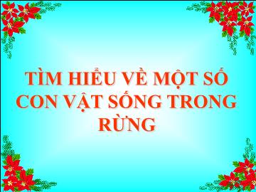 Bài giảng mầm non lớp Lá - Bài: Tìm hiểu về một số con vật sống trong rừng