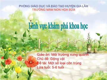 Bài giảng mầm non lớp Lá - Chủ đề: Động vật - Đề tài: Một số loại côn trùng