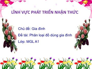 Bài giảng mầm non lớp Lá - Chủ đề: Gia đình - Đề tài: Phân loại đồ dùng gia đình