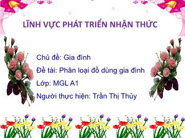 Bài giảng mầm non lớp Lá - Đề tài: Phân loại đồ dùng gia đình