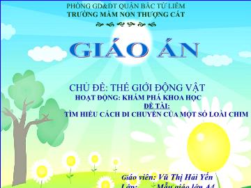 Bài giảng mầm non lớp Lá - Đề tài: Tìm hiểu cách di chuyển của một số loài chim