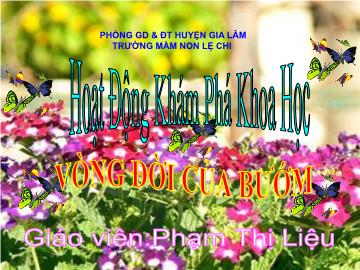 Bài giảng mầm non lớp Lá - Hoạt động Khám phá khoa học - Vòng đời của bướm