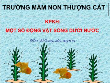 Bài giảng mầm non lớp Lá - Khám phá khoa học: Một số động vật sống dưới nước