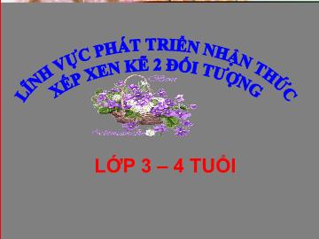 Bài giảng mầm non lớp Lá - Lĩnh vực phát triển nhận thức: Xếp xen kẽ 2 đối tượng