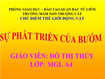 Bài giảng mầm non lớp Lá - Sự phát triển của bướm - Đỗ Thị Thủy