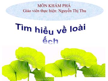 Bài giảng mầm non lớp Lá - Tìm hiểu về loài ếch