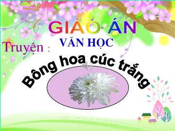 Bài giảng mầm non lớp Lá - Truyện: Bông hoa cúc trắng