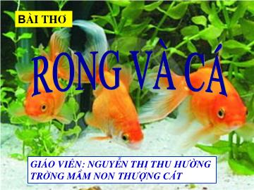 Bài giảng mầm non lớp Mầm - Bài: Thơ rong và cá - Nguyễn Thị Thu Hường