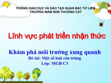 Bài giảng mầm non lớp Mầm - Khám phá môi trường xung quanh - Đề tài: Một số loài côn trùng