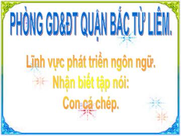 Bài giảng mầm non lớp Nhà trẻ - Lĩnh vực phát triển ngôn ngữ - Nhận biết tập nói: Con cá chép