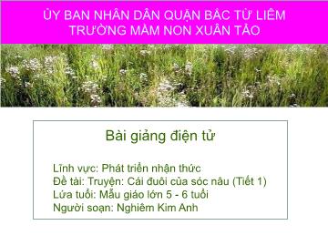 Bài giảng mầm non lớp Lá - Lĩnh vực: Phát triển nhận thức - Đề tài: Truyện: Cái đuôi của sóc nâu (Tiết 1)