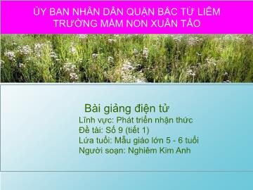 Bài giảng mầm non lớp Lá - Lĩnh vực: Phát triển nhận thức - Đề tài: Số 9 (tiết 1)