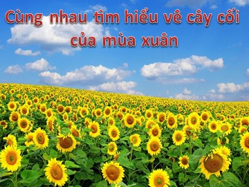 Bài giảng Mầm non Lớp Lá - Cùng nhau tìm hiểu về cây cối của mùa xuân