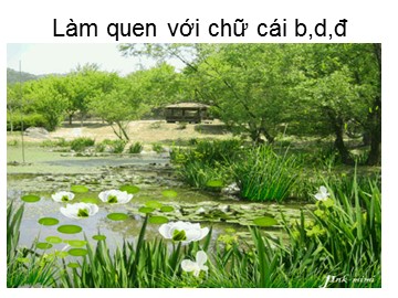 Bài giảng Mầm non Lớp Lá - Làm quen với chữ cái 