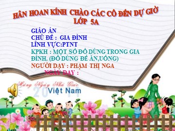 Bài giảng Mầm non Lớp Lá - Chủ đề: Gia đình - Đề tài: Một số đồ dùng trong gia đình - Phạm Thị Nga