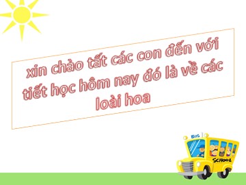 Bài giảng Mầm non Lớp Lá - Đề tài: Các loài hoa