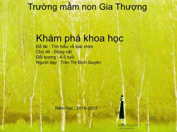 Bài giảng Mầm non Lớp Chồi - Chủ đề: Động vật - Đề tài: Tìm hiểu về loài chim - Năm học 2016-2017 - Trần Thị Bích Quyên