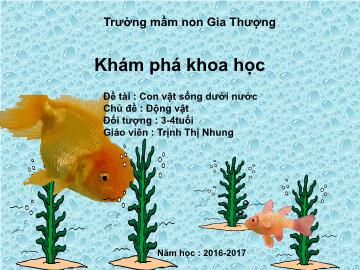 Bài giảng Mầm non Lớp Mầm - Chủ đề: Động vật - Đề tài: Con vật sống dưới nước - Trịnh Thị Nhung