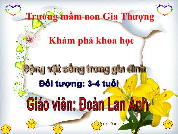 Bài giảng Mầm non Lớp Mầm - Khám phá khoa học - Động vật sống trong gia đình - Đoàn Lan Anh