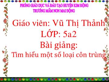 Bài giảng Mầm non Lớp Lá - Tìm hiểu một số loại côn trùng - Vũ Thị Thảnh