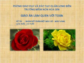 Bài giảng Mầm non Lớp Nhà trẻ - Làm quen với toán - Nhận biết phân biệt màu đỏ, màu vàng - Trường Mầm non Hoa Sen