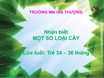 Bài giảng Mầm non Lớp Nhà trẻ - Nhận biết một số loại cây - Trường Mầm non Gia Thượng