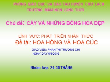 Bài giảng Mầm non Lớp Nhà trẻ - Phát triển nhận thức - Đề tài: Hoa hồng và hoa cúc - Năm học 2016-2017 - Phan Thị Trương Chi