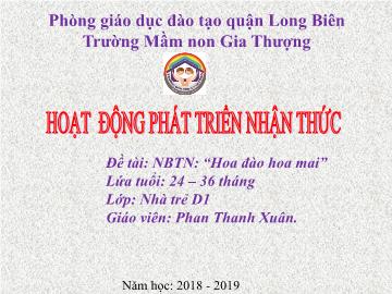 Bài giảng Mầm non Lớp Nhà trẻ - Phát triển nhận thức - Đề tài: Hoa đào hoa mai - Năm học 2018-2019 - Phan Thanh Xuân