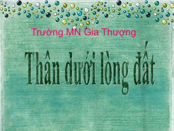 Bài giảng Mầm non Lớp Nhà trẻ - Thân dưới lòng đất - Trường Mầm non Gia Thượng