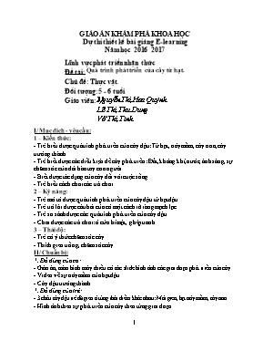 Giáo án Mầm non Lớp Lá - Lĩnh vực: Phát triển nhận thức - Đề tài: Quá trình phát triển của cây từ hạt - Nguyễn Thị Hoa Quỳnh