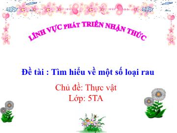 Bài giảng Mầm non Lớp Lá - Chủ đề: Thực vật. Đề tài: Tìm hiểu về một số loại rau