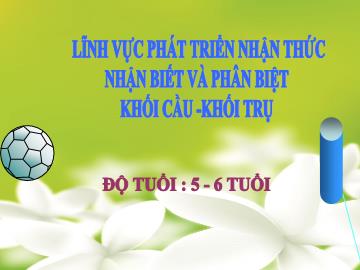 Bài giảng Mầm non Lớp Lá - Đề tài: Nhận biết và phân biệt Khối cầu. Khối trụ
