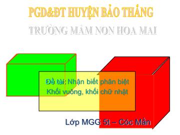 Bài giảng Mầm non Lớp Lá - Đề tài: Nhận biết phân biệt khối vuông, khối chữ nhật - Trường Mầm non Hoa Mai