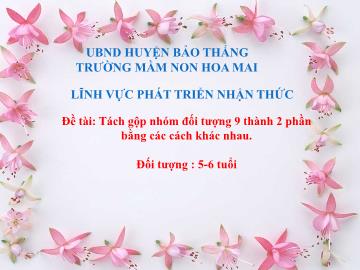 Bài giảng Mầm non Lớp Lá - Đề tài: Tách gộp nhóm đối tượng 9 thành 2 phần bằng các cách khác nhau - Trường Mầm non Hoa Mai