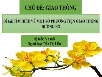 Bài giảng Mầm non Lớp Lá - Đề tài: Tìm hiểu về 1 số phương tiện giao thông đường bộ - Trần Thị Liễu