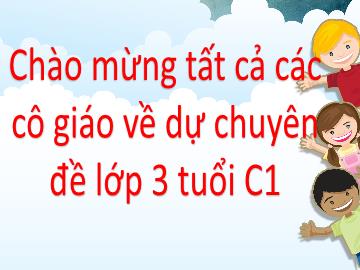 Bài giảng Mầm non Lớp Mầm - Bài: Thiết kế khung ảnh