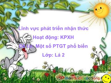 Bài giảng Mầm non Khối Lá - Đề tài: Một số phương tiện giao thông phổ biến