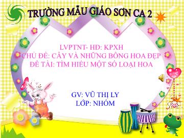 Bài giảng Mầm non Lớp Chồi - Chủ đề: Cây và những bông hoa đẹp - Đề tài: Tìm hiểu một số loài hoa - Vũ Thị Ly