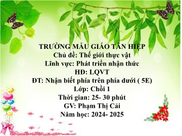 Bài giảng Mầm non Lớp Chồi - Chủ đề: Thế giới thực vật - Đề tài: Nhận biết phía trên, phía dưới - Năm học 2024-2025 - Phạm Thị Cải