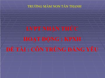 Bài giảng Mầm non Lớp Chồi - Đề tài: Côn trùng đáng yêu - Trường Mầm non Tân Thạch