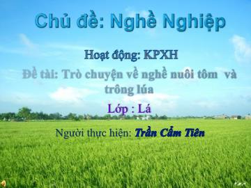 Bài giảng Mầm non Lớp Lá - Chủ đề: Nghề nghiệp - Đề tài: Trò chuyện về nghề nuôi tôm và trồng lúa - Trần Cẩm Tiên