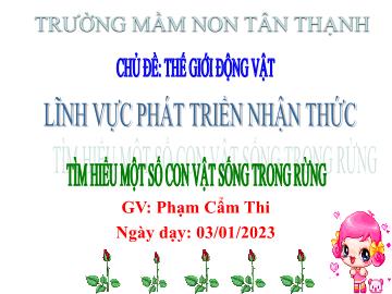 Bài giảng Mầm non Lớp Lá - Đề tài: Tìm hiểu 1 số con vật sống trong rừng - Năm học 2022-2023 - Phạm Cẩm Thi