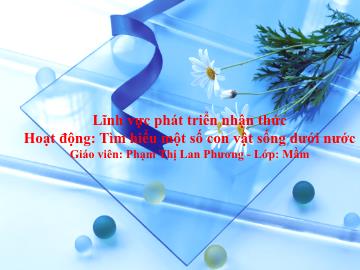 Bài giảng Mầm non Lớp Mầm - Đề tài: Hoạt động Tìm hiểu về 1 số con vật sống dưới nước - Phạm Thị Lan Hương