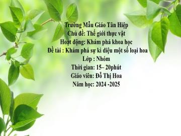 Bài giảng Mầm non Lớp Nhà trẻ - Chủ đề: Thế giới thực vật - Đề tài: Khám phá sự kì diệu một số loại hoa - Năm học 2024-2025 - Đỗ Thị Hoa