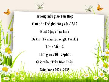 Bài giảng Mầm non Lớp Mầm - Chủ đề: Thế giới động vật. 22/12 - Đề tài: Tô màu con ong - Năm học 2024-2025 - Trần Kiều Diễm