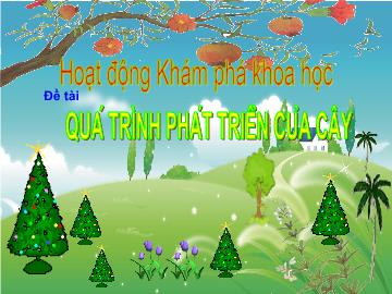 Bài giảng Mầm non Khối Lá - Đề tài: Quá trình phát triển của cây