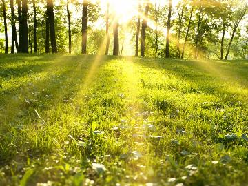 Bài giảng Mầm non Lớp Chồi - Chủ đề: Tết và mùa xuân - Đề tài: Mùa xuân tươi đẹp - Nguyễn Thị Thuận
