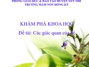 Bài giảng Mầm non Lớp Chồi - Đề tài: Các giác quan của bé - Trường Mầm non Hồng Kỳ