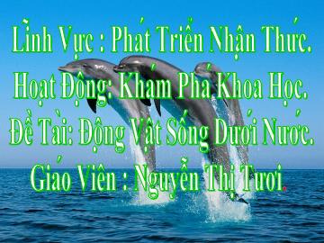 Bài giảng Mầm non Lớp Chồi - Đề tài: Động vật sống dưới nước - Nguyễn Thị Tươi